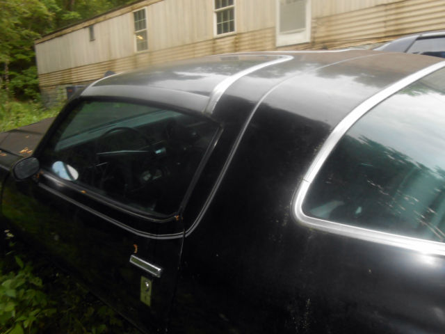 black in black firebird