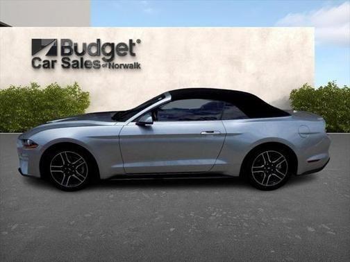 2023 ford mustang