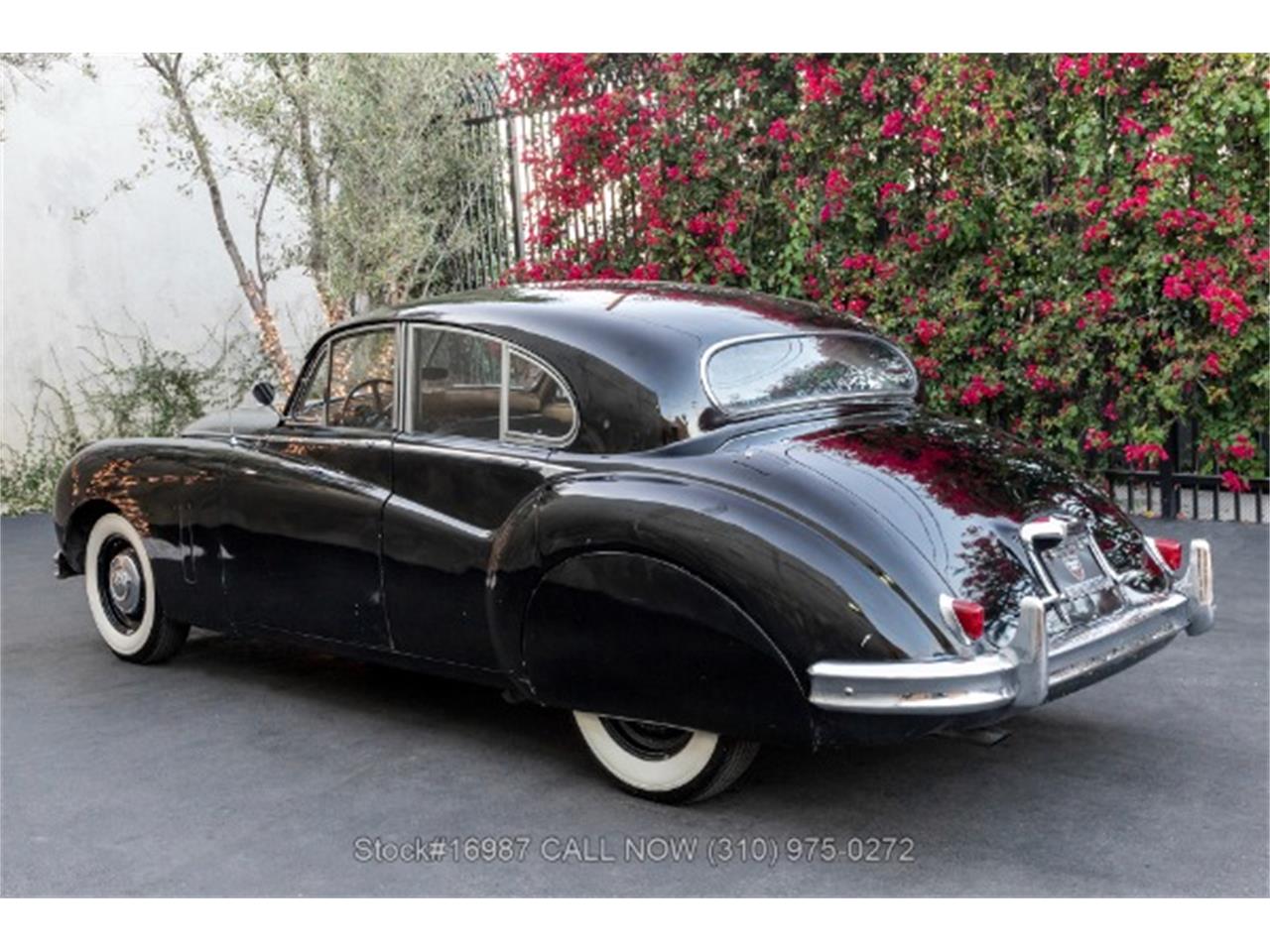 1955 jaguar mark vii