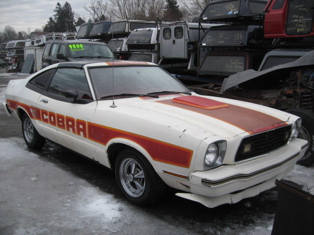 1977 ford mustang cobra ll