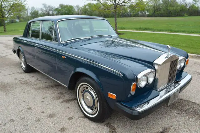 striking example, rare exetor blue. a product of usa's best shadow restorer