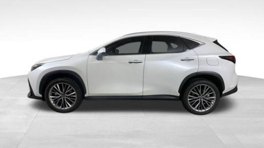 2022 Lexus NX