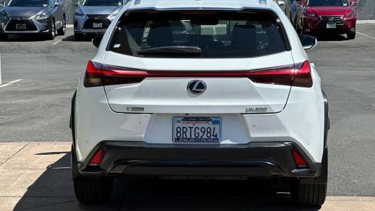 2020 Lexus UX