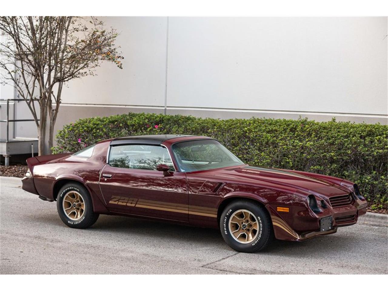 1981 chevrolet camaro