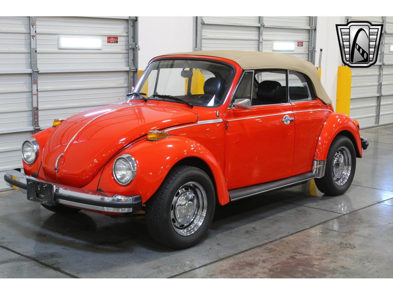 1979 volkswagen beetle