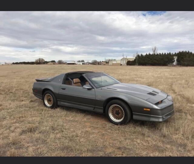 1989 pontiac firebird coupe grey rwd automatic trans am gta