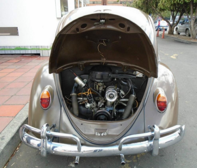 volkswagen beetle 1955 oval