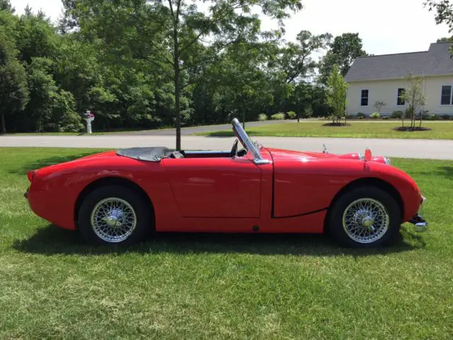 1961 austin healey "bug eye" sprite