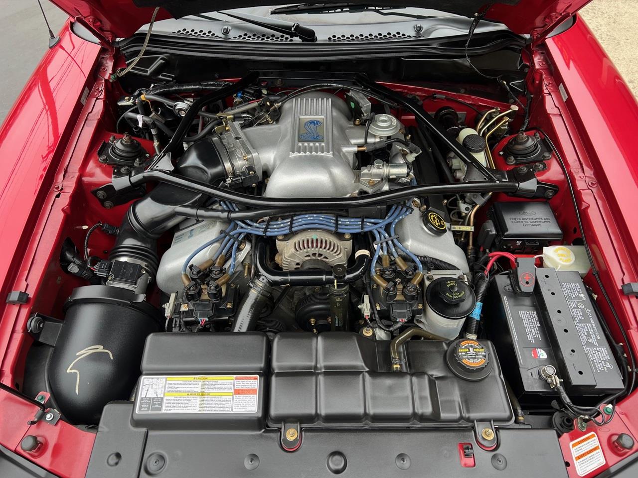 1996 ford mustang cobra