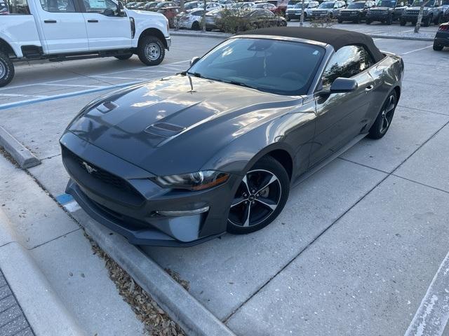 2019 ford mustang ecoboost