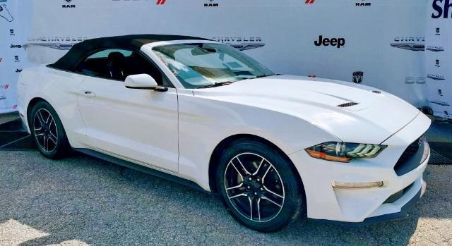 2022 ford mustang ecoboost premium