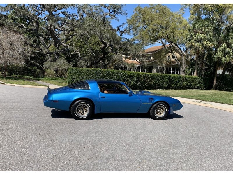 1979 pontiac trans am ws6