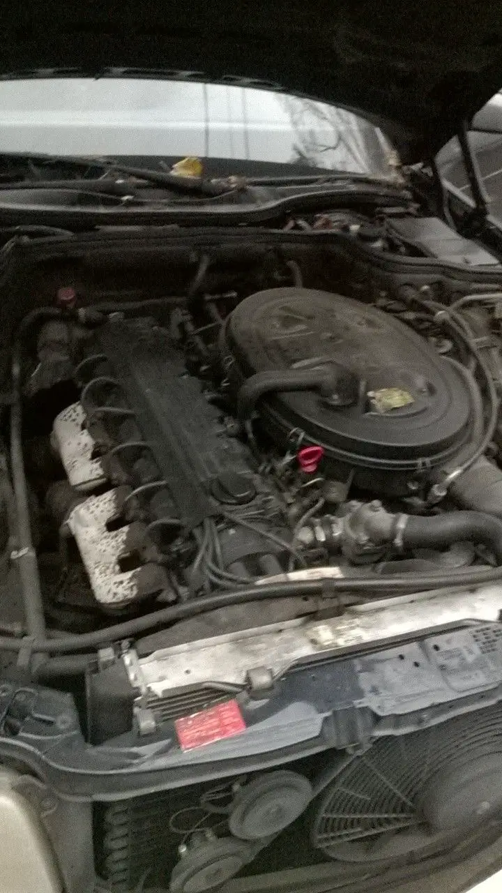mercedes benz