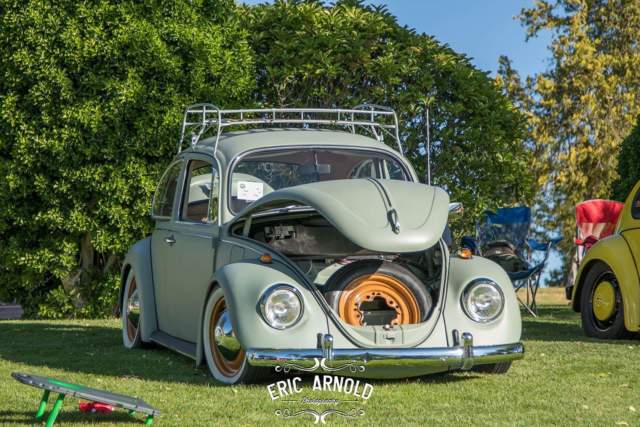 1969 volkswagen bug - classic