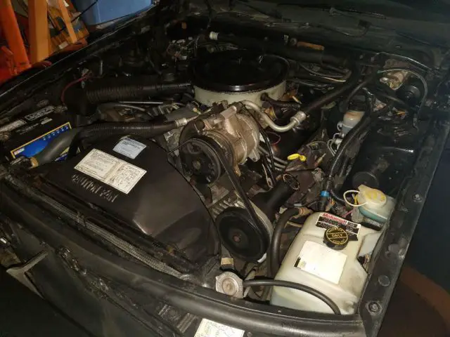 1987 ford thunderbird lx absolutely gorgeous and rare