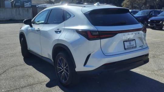 2022 Lexus NX
