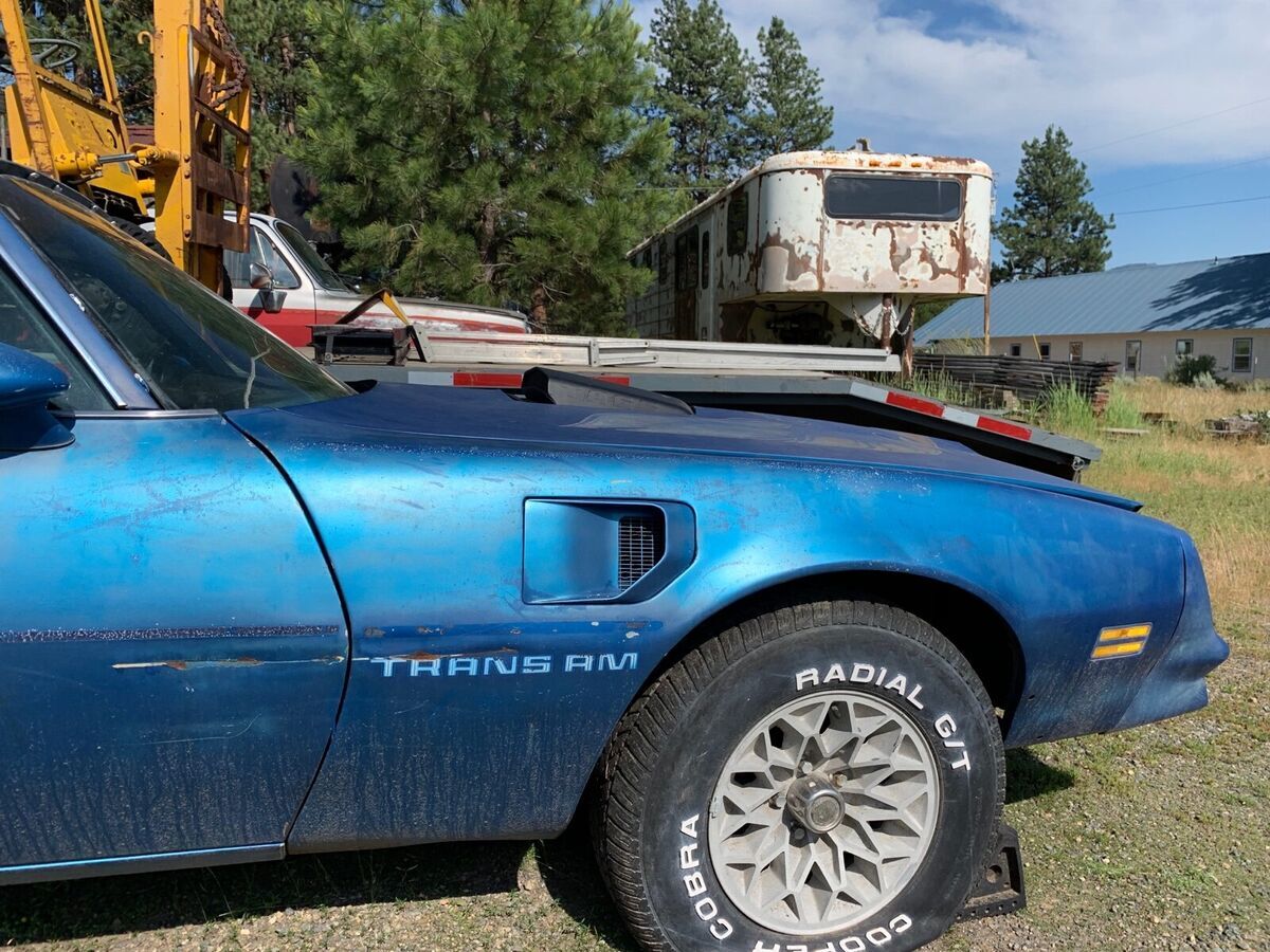 1978 pontiac trans am coupe blue rwd automatic trans am
