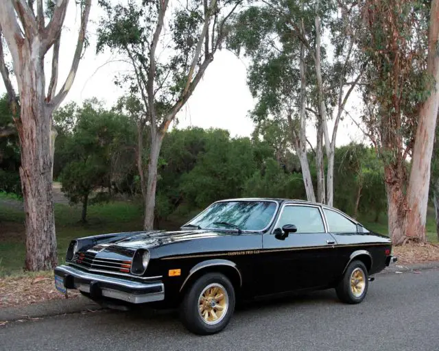 1976 chevrolet cosworth vega z09