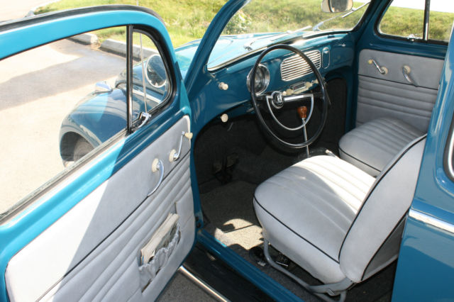 1955 volkswagen beetle