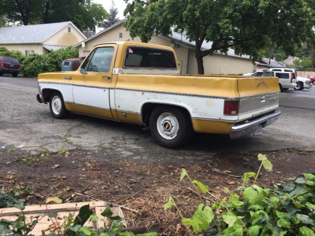 74 chevy truck