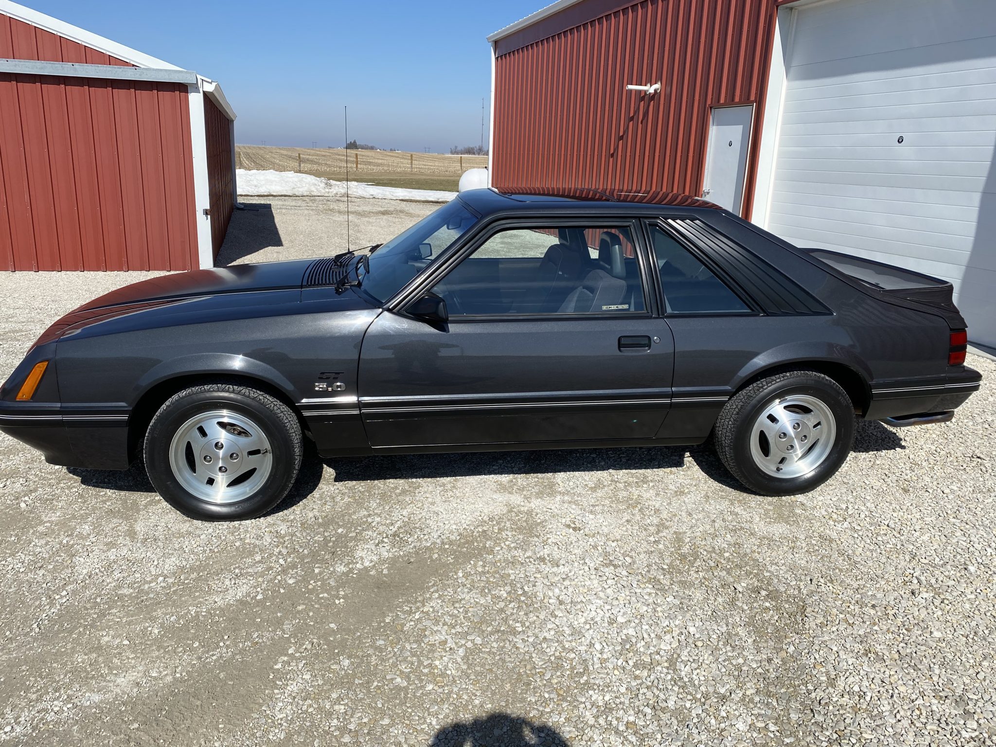1984 ford mustang gt hatchback 5.0 5-speed
