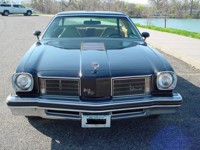 1975 oldsmobile hurst/olds w-30