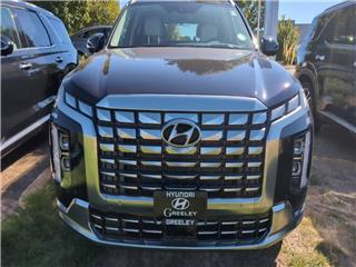 2025 Hyundai Palisade calligraphy