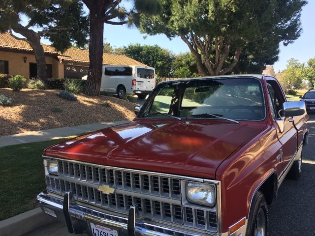 1981 chevrolet scottsdale