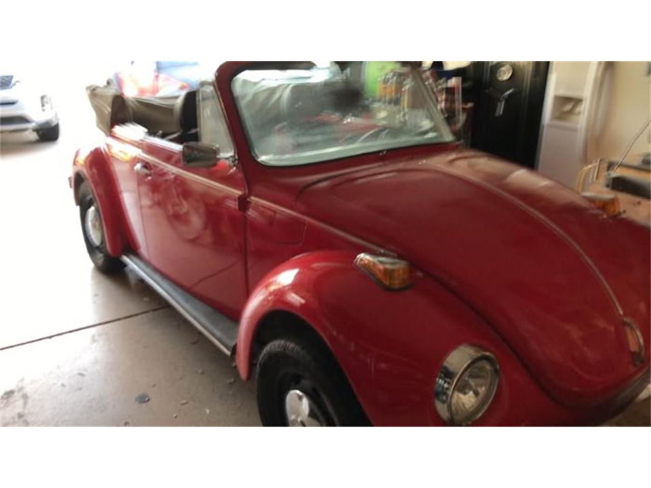 1979 volkswagen beetle
