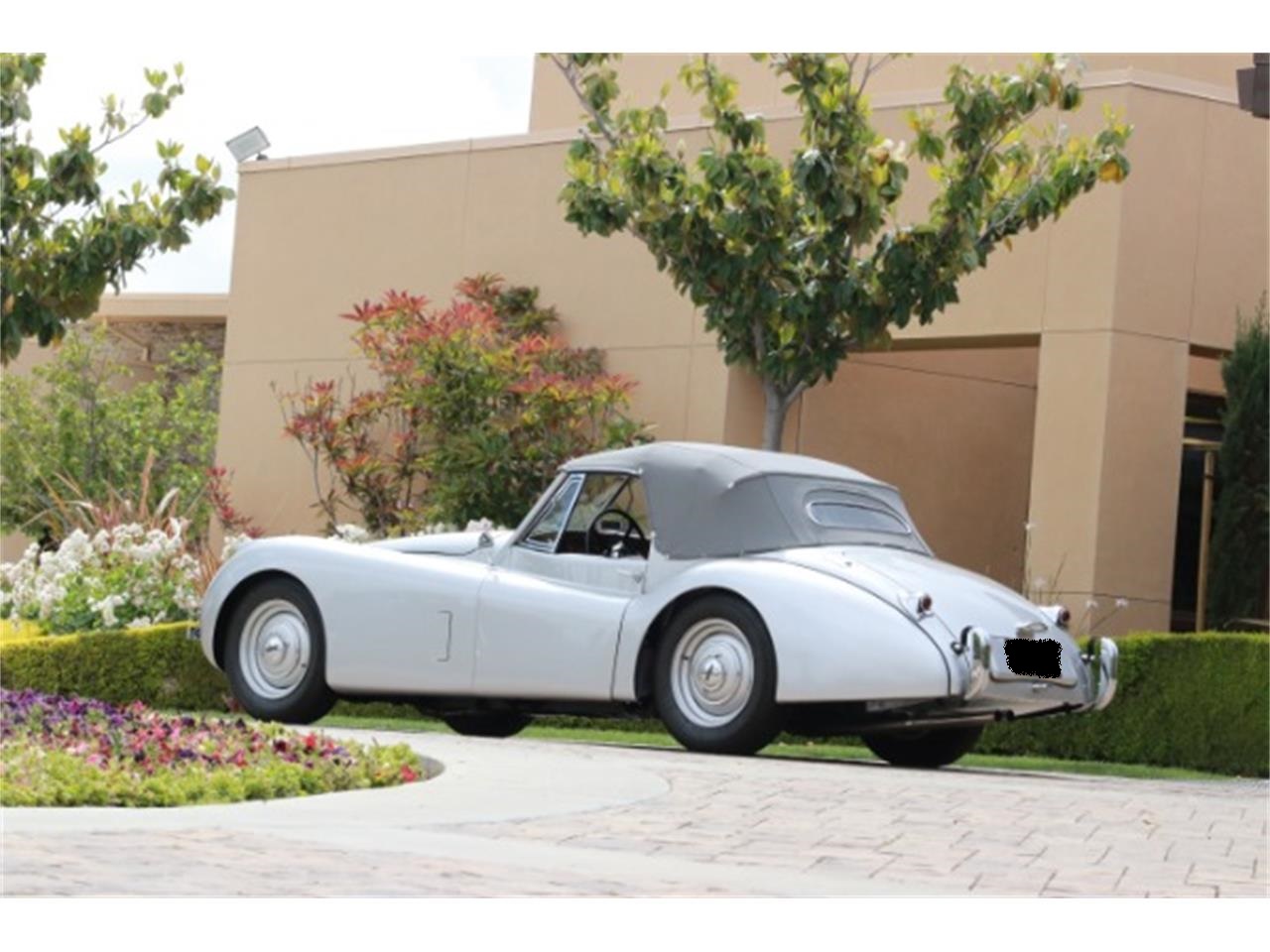 1954 jaguar xk120