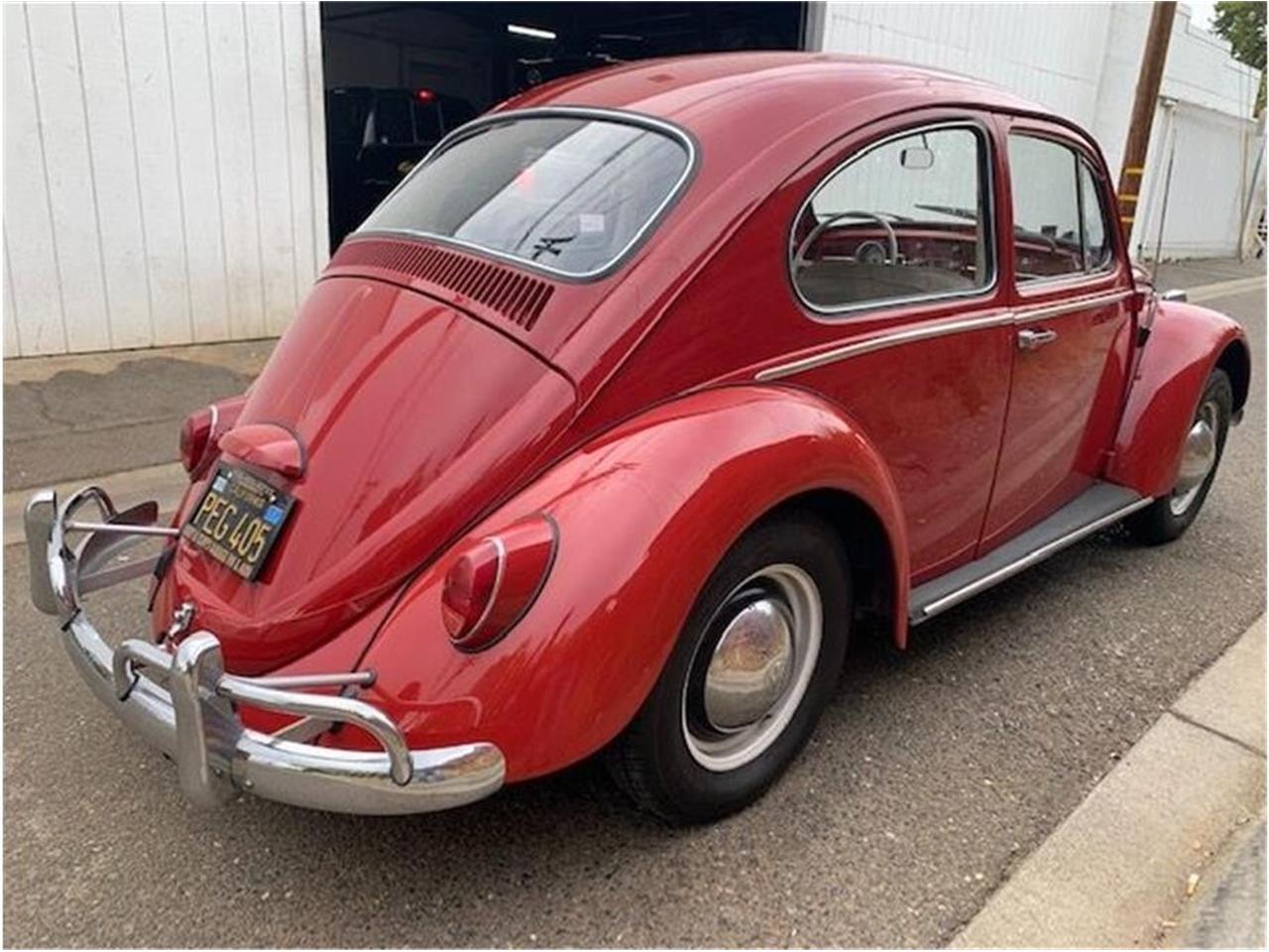 1965 volkswagen beetle
