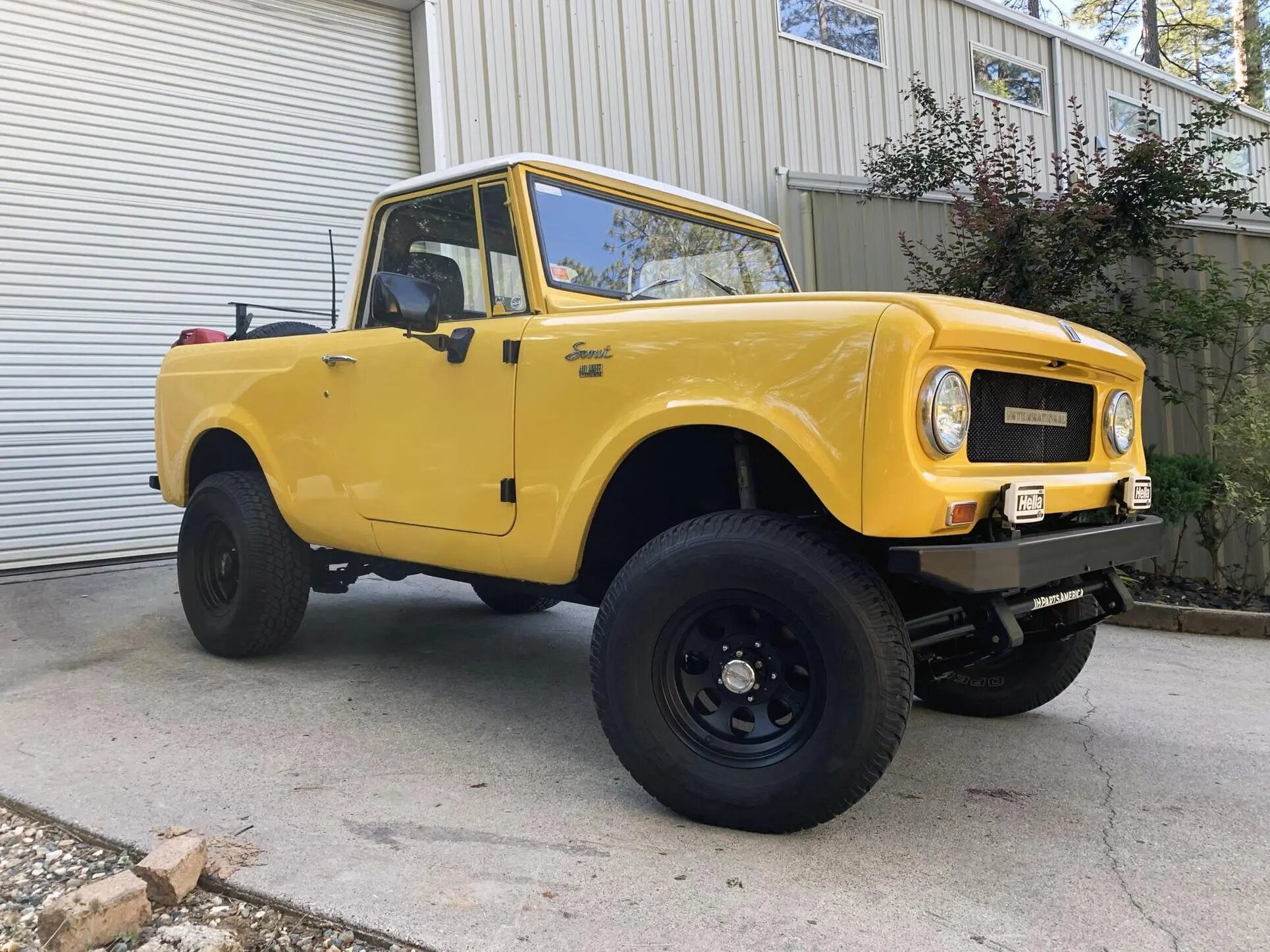 international harvester scout 800
