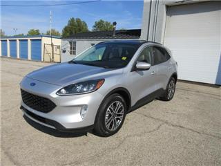 2020 Ford Escape sel