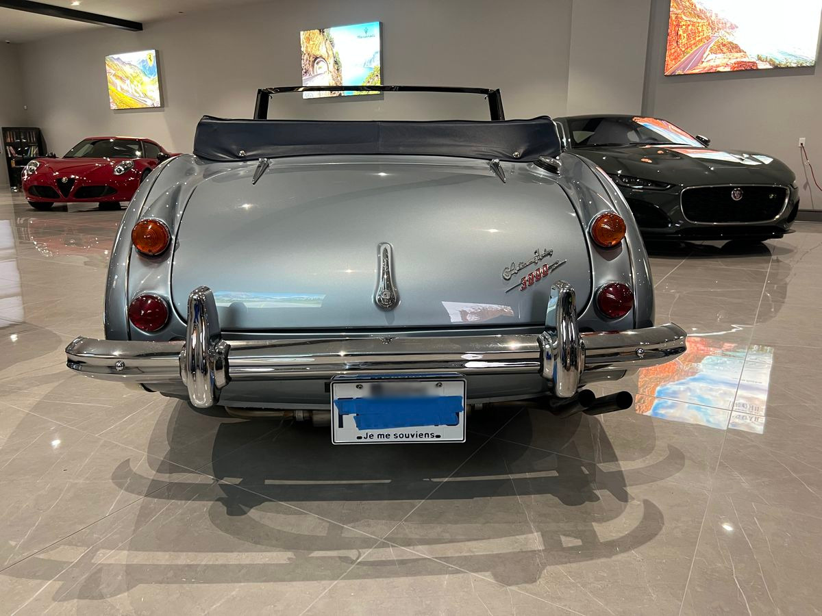 1966 austin-healey 3000 mk iii