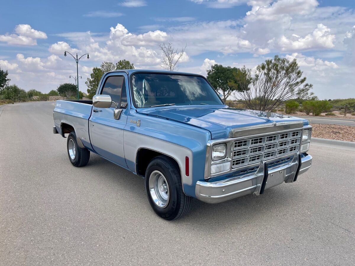 1980 chevrolet silverado c-10 big 10 classic truck 2wd c10