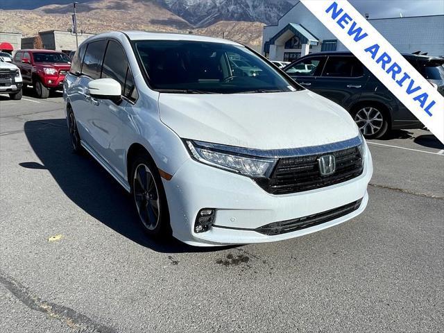 2023 honda odyssey elite