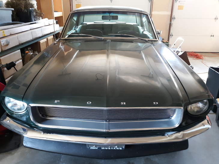 ford mustang