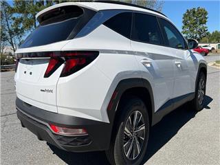 2024 Hyundai Tucson blue