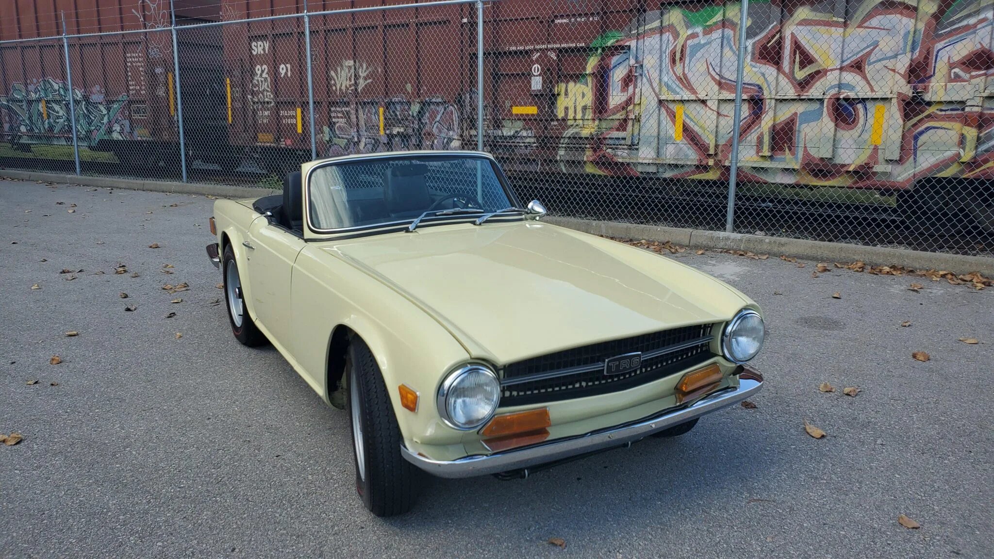 triumph tr6