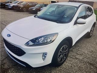 2022 Ford Escape sel