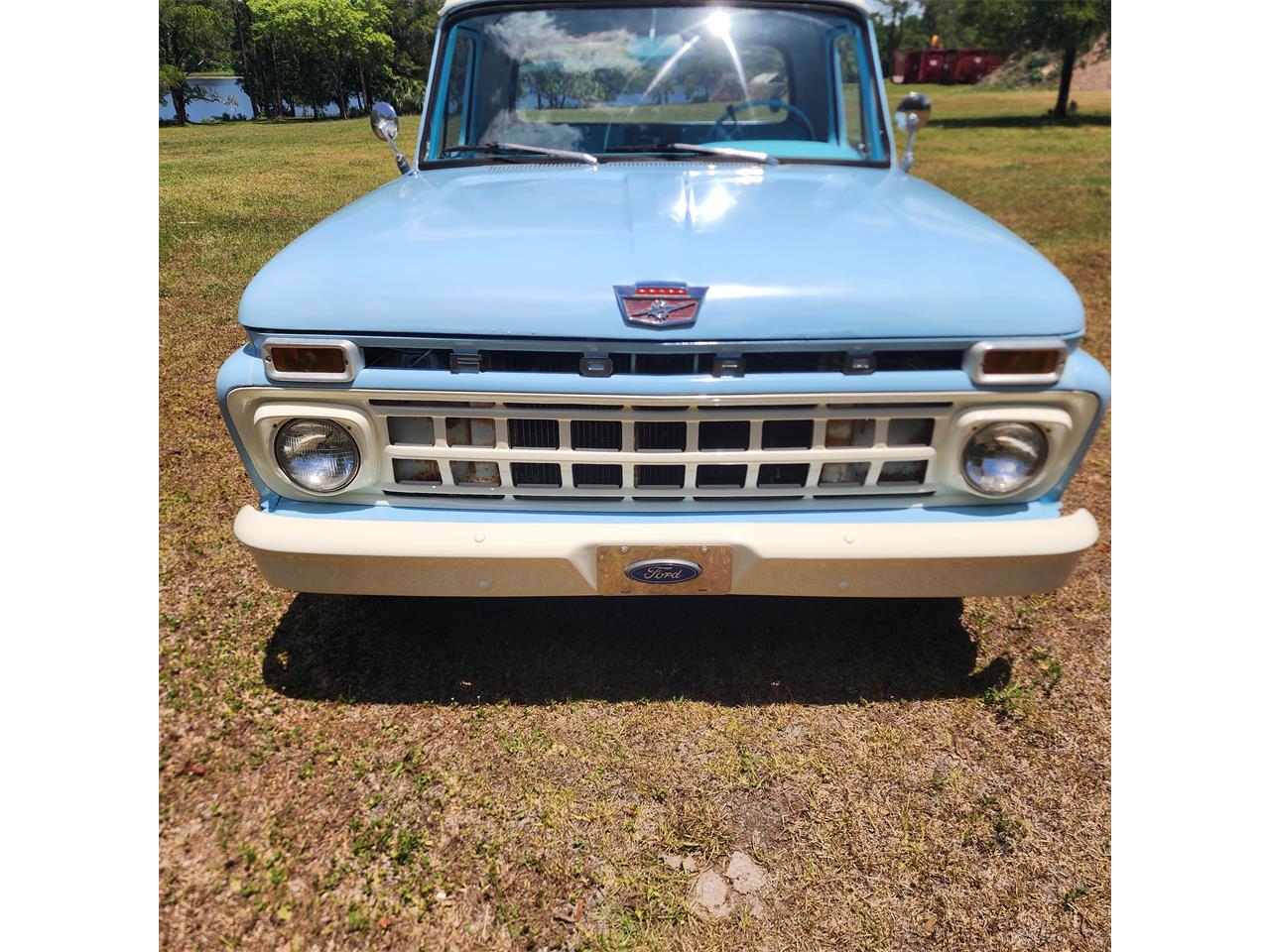 1965 ford f100