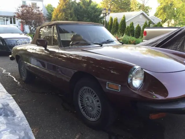 1980 alfa spider