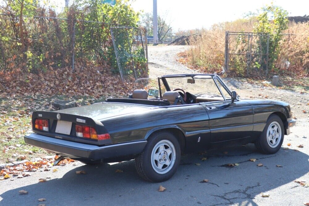 1984 alfa romeo spider veloce 2.0
