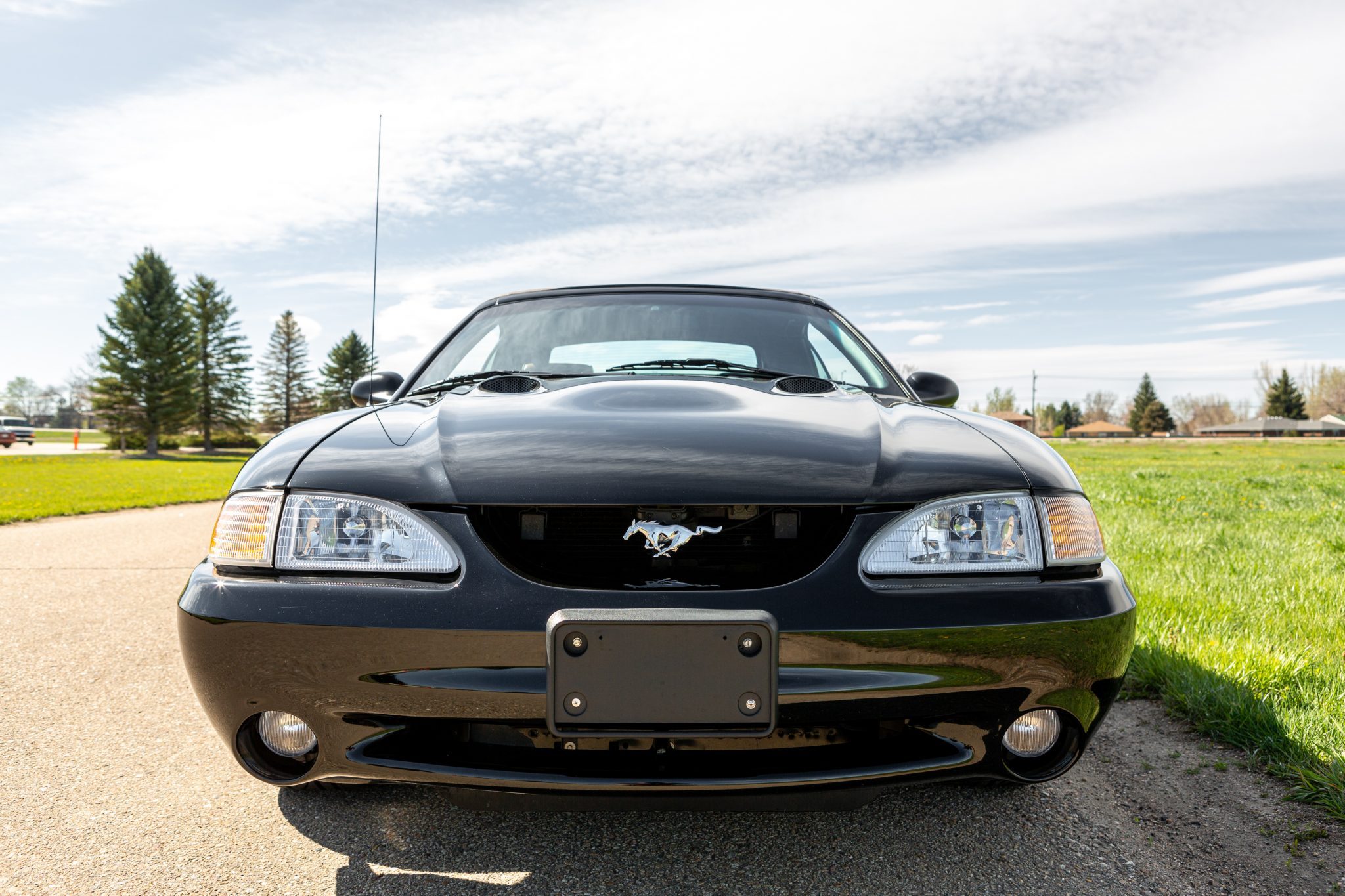 1997 ford mustang svt cobra convertible 5-speed