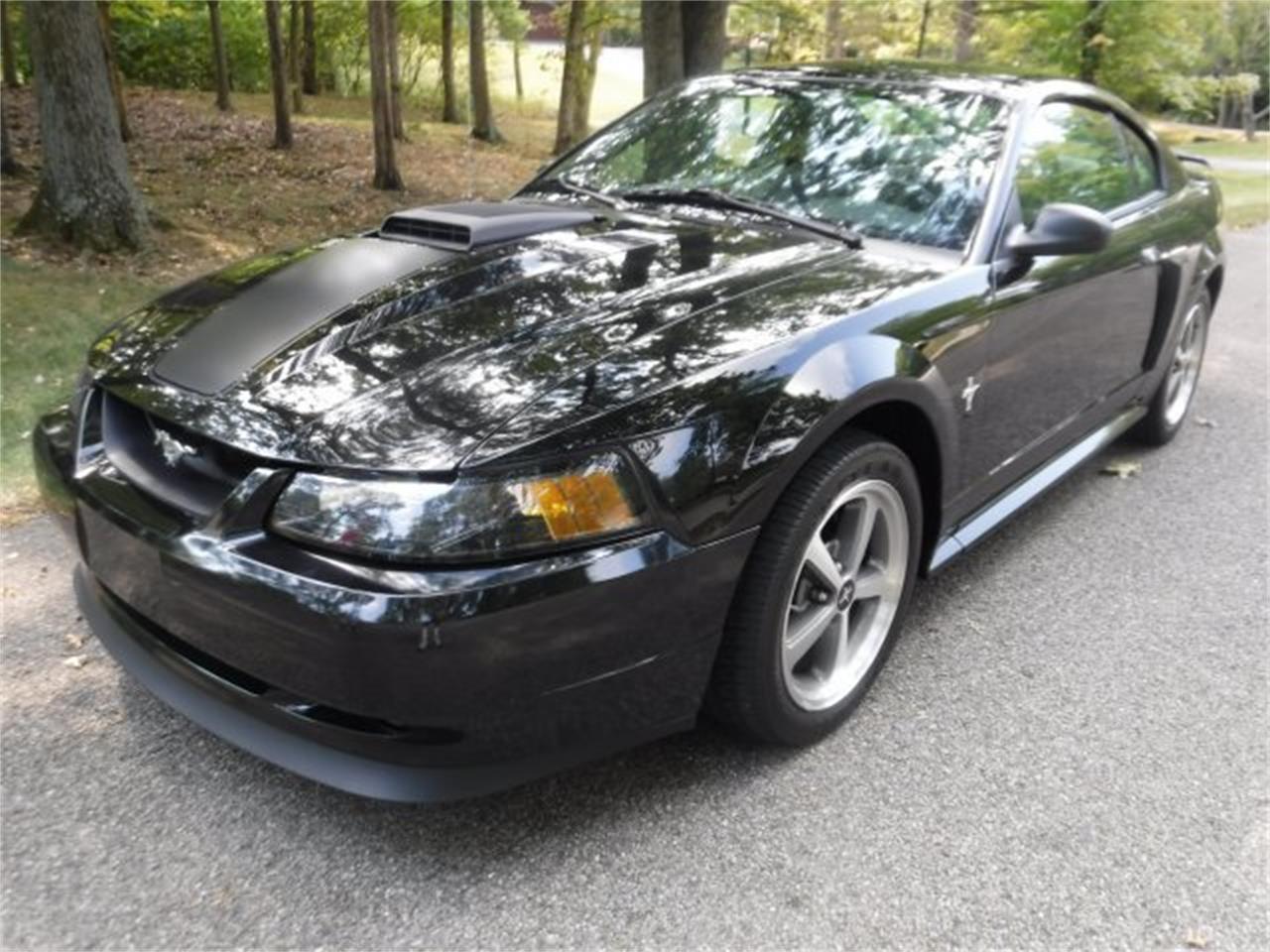 2003 ford mustang
