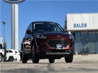 2021 Ford Escape se