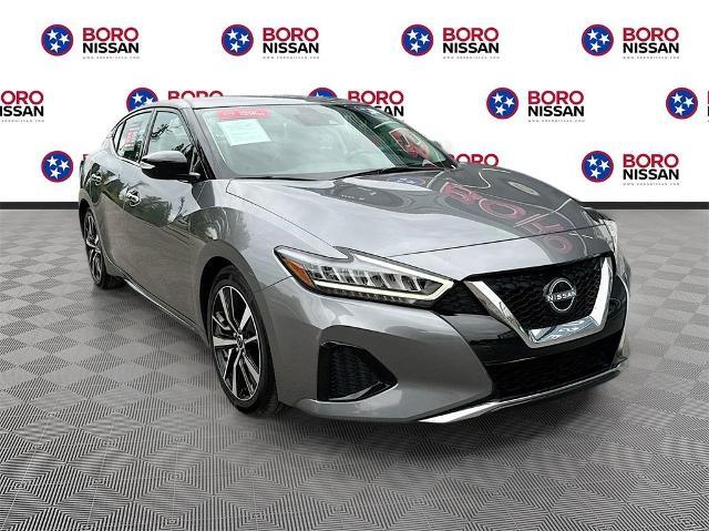 2023 nissan maxima sv