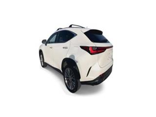 2022 Lexus NX premium