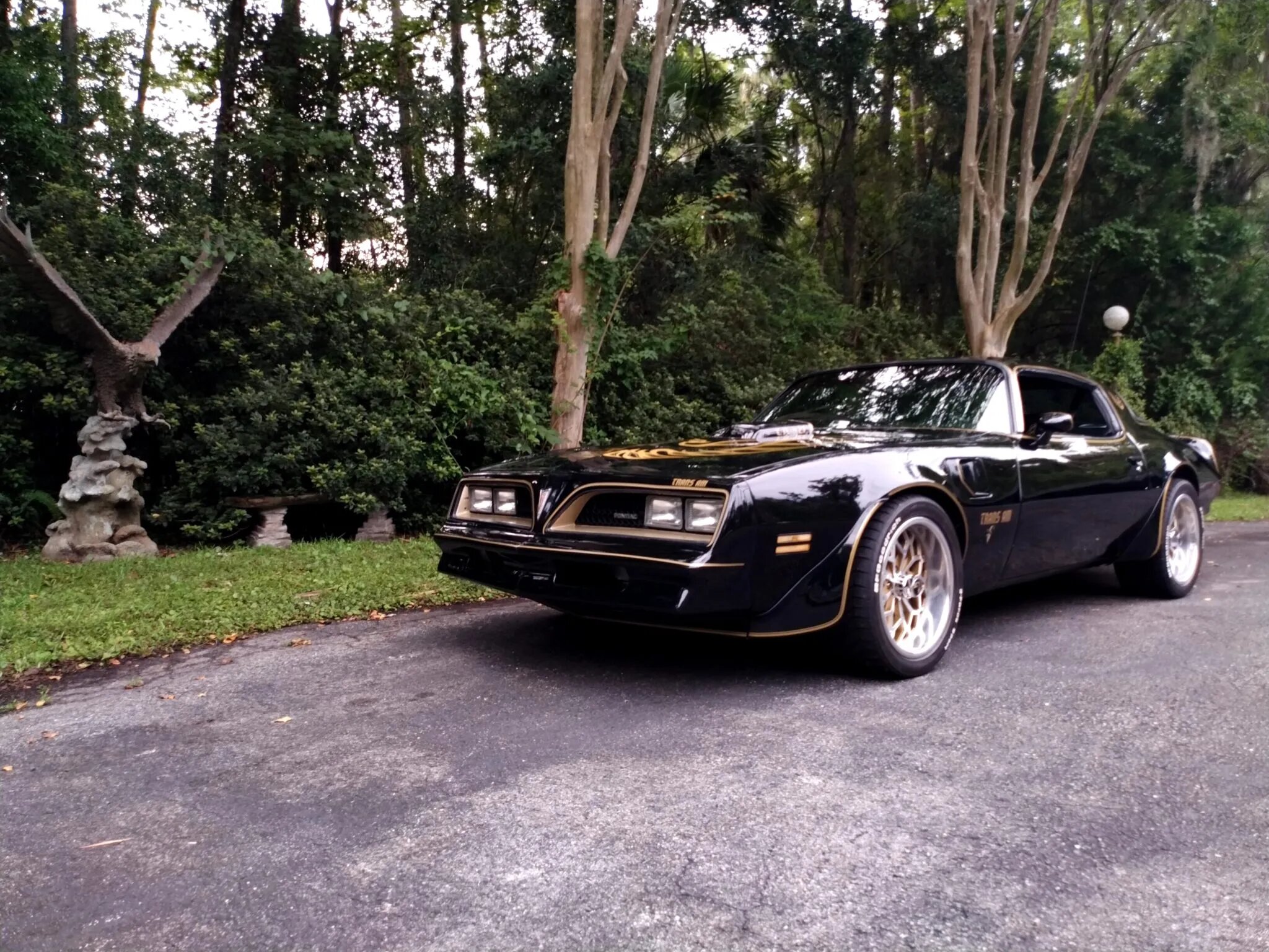 pontiac firebird trans am