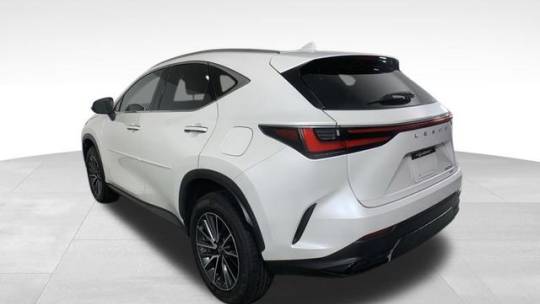 2023 Lexus NX